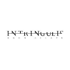 logo de Intringulis