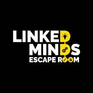 logo Linked Minds