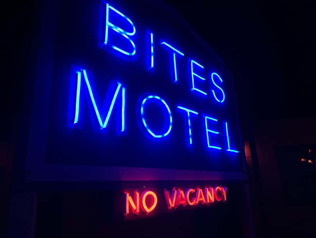escape room: Bites Motel