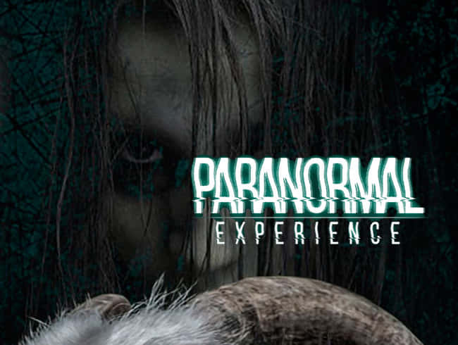 escape room: Paranormal Experience