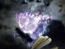The Magic