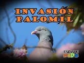 Invasión Palomil