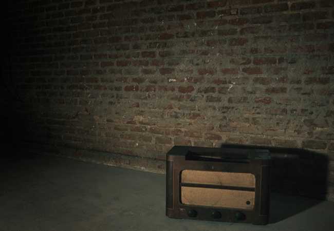 Foto de la empresa: Fox in a box-5