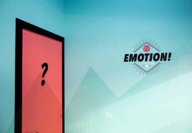 Foto de la empresa: Emotion!-1